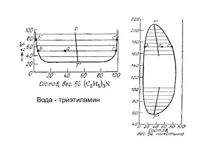 Вода - триэтиламин