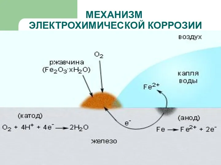 МЕХАНИЗМ ЭЛЕКТРОХИМИЧЕСКОЙ КОРРОЗИИ