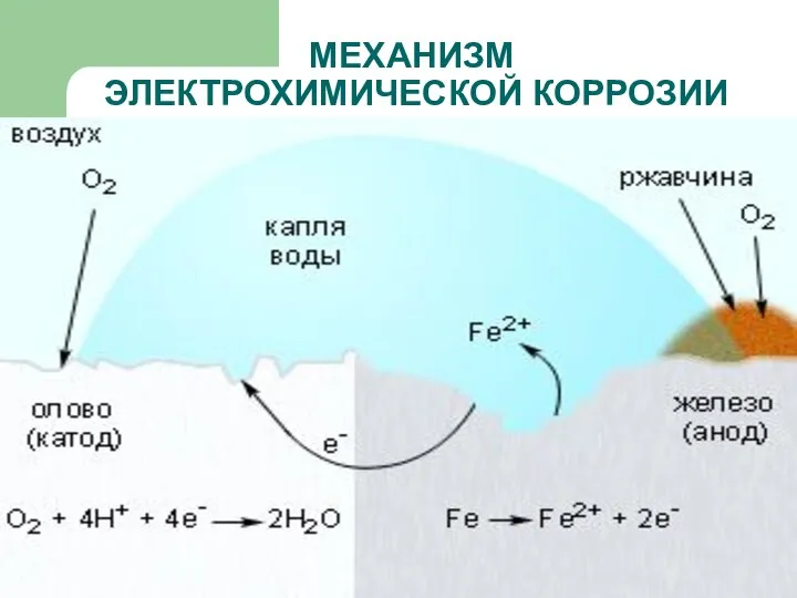 МЕХАНИЗМ ЭЛЕКТРОХИМИЧЕСКОЙ КОРРОЗИИ