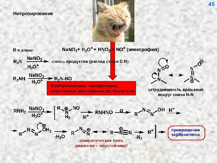 Нитрозирование 45