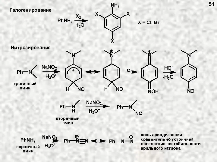 Галогенирование Нитрозирование 51