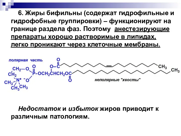 6. Жиры бифильны (содержат гидрофильные и гидрофобные группировки) – функционируют на