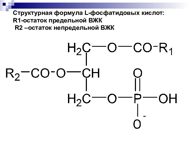 Структурная формула L-фосфатидовых кислот: R1-остаток предельной ВЖК R2 –остаток непредельной ВЖК