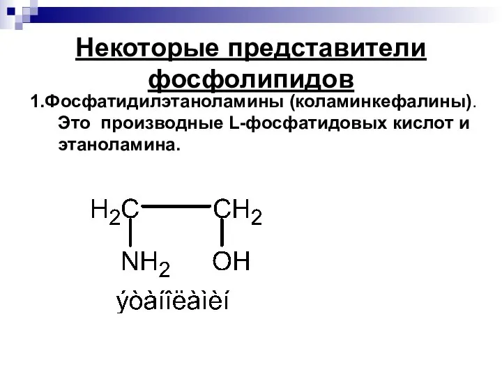 Некоторые представители фосфолипидов 1.Фосфатидилэтаноламины (коламинкефалины). Это производные L-фосфатидовых кислот и этаноламина.