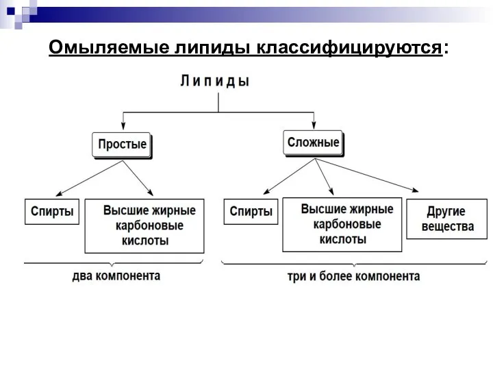 Омыляемые липиды классифицируются: