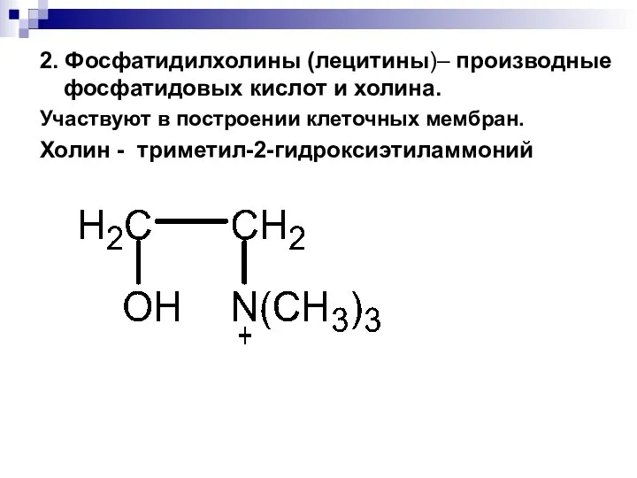 2. Фосфатидилхолины (лецитины)– производные фосфатидовых кислот и холина. Участвуют в построении клеточных мембран. Холин - триметил-2-гидроксиэтиламмоний