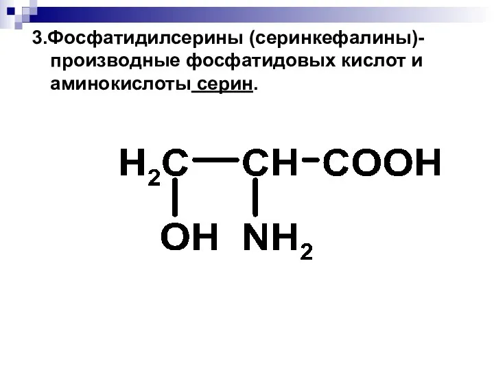 3.Фосфатидилсерины (серинкефалины)-производные фосфатидовых кислот и аминокислоты серин.