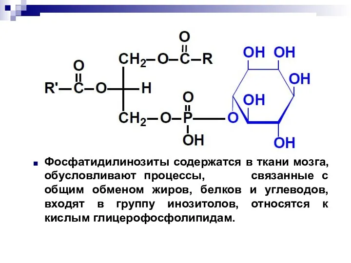 Фосфатидилинозиты содержатся в ткани мозга, обусловливают процессы, связанные с общим обменом