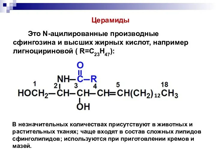 В незначительных количествах присутствуют в животных и растительных тканях; чаще входят