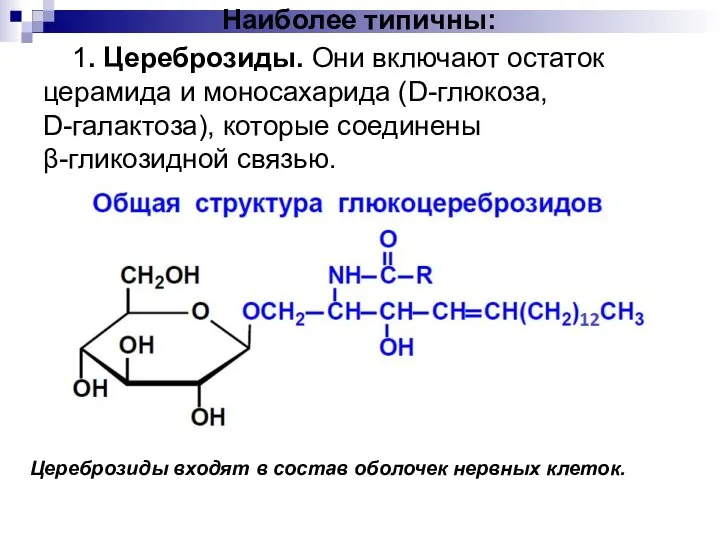 Наиболее типичны: 1. Цереброзиды. Они включают остаток церамида и моносахарида (D-глюкоза,