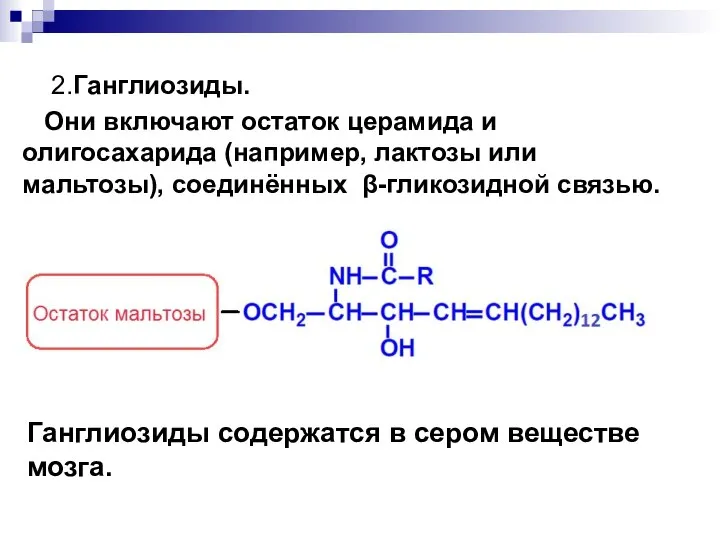 2.Ганглиозиды. Они включают остаток церамида и олигосахарида (например, лактозы или мальтозы),