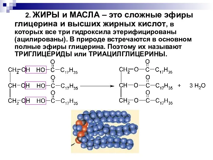 2. ЖИРЫ и МАСЛА – это сложные эфиры глицерина и высших