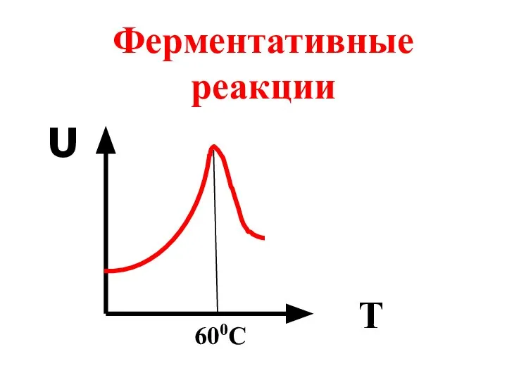 Ферментативные реакции υ T 600C