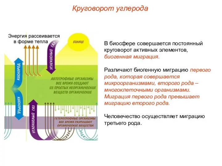 В биосфере совершается постоянный круговорот активных элементов, биогенная миграция. Различают биогенную