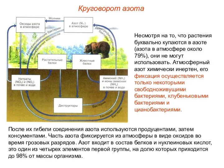 Несмотря на то, что растения буквально купаются в азоте (азота в