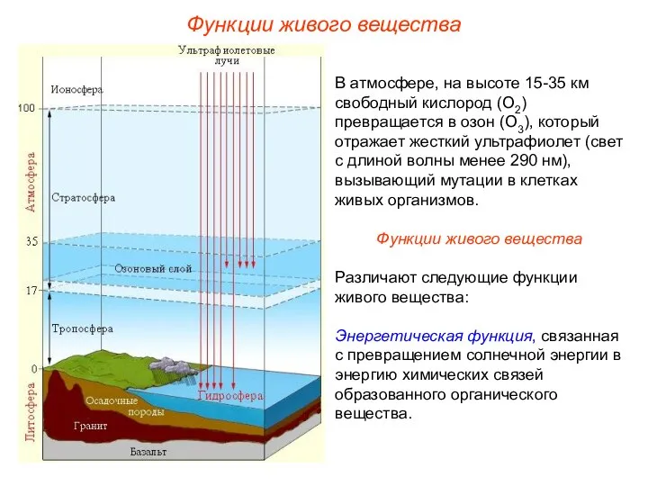 В атмосфере, на высоте 15-35 км свободный кислород (О2) превращается в