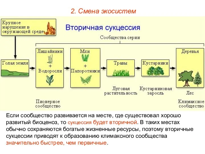 2. Смена экосистем Если сообщество развивается на месте, где существовал хорошо