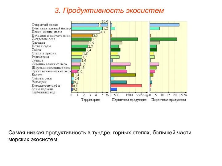 3. Продуктивность экосистем Самая низкая продуктивность в тундре, горных степях, большей части морских экосистем.