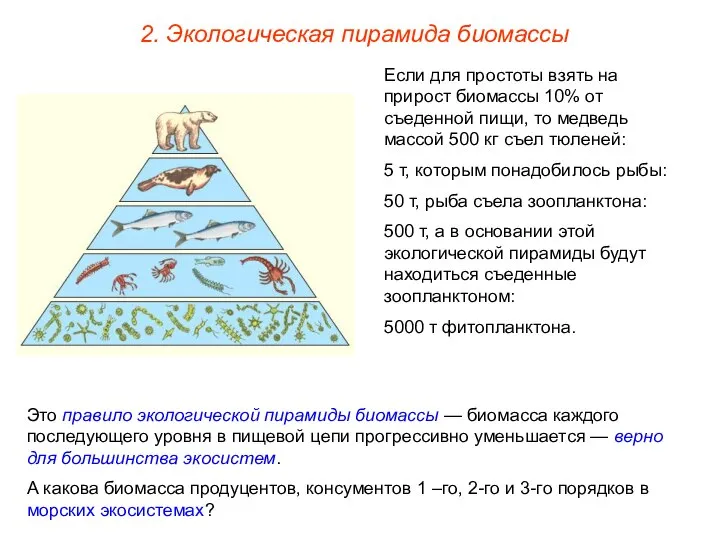2. Экологическая пирамида биомассы Если для простоты взять на прирост биомассы