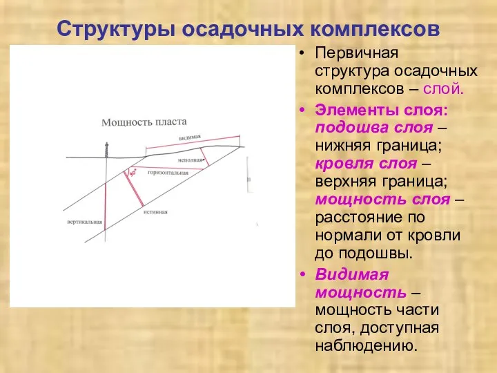 Структуры осадочных комплексов Первичная структура осадочных комплексов – слой. Элементы слоя: