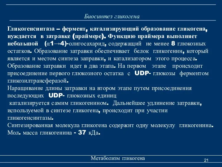 Метаболизм гликогена Гликогенсинтаза – фермент, катализирующий образование гликогена, нуждается в затравке