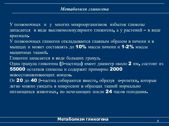 Метаболизм гликогена Метаболизм гликогена У позвоночных и у многих микроорганизмов избыток