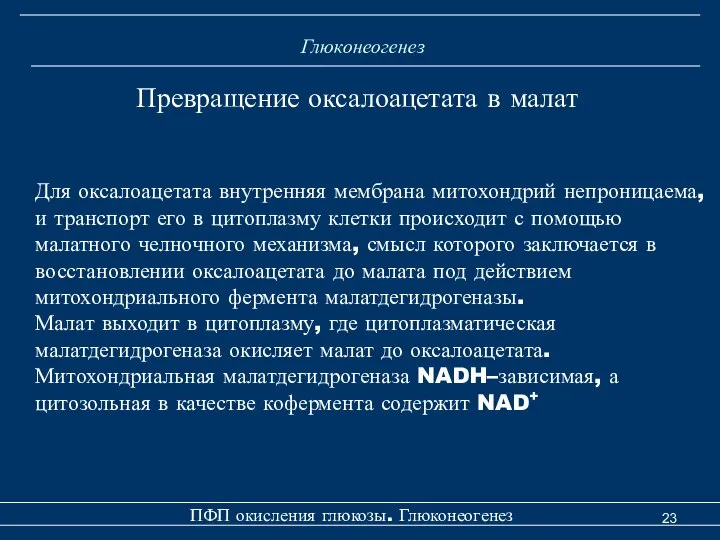 Глюконеогенез Превращение оксалоацетата в малат Для оксалоацетата внутренняя мембрана митохондрий непроницаема,