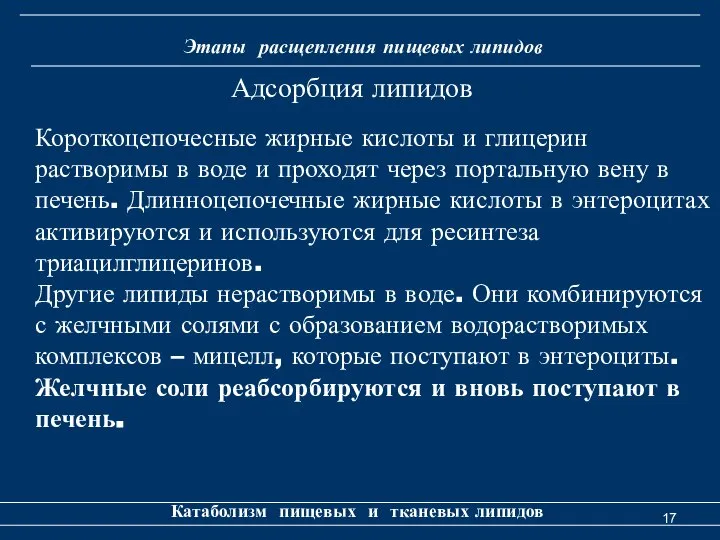 Этапы расщепления пищевых липидов Катаболизм пищевых и тканевых липидов Короткоцепочесные жирные