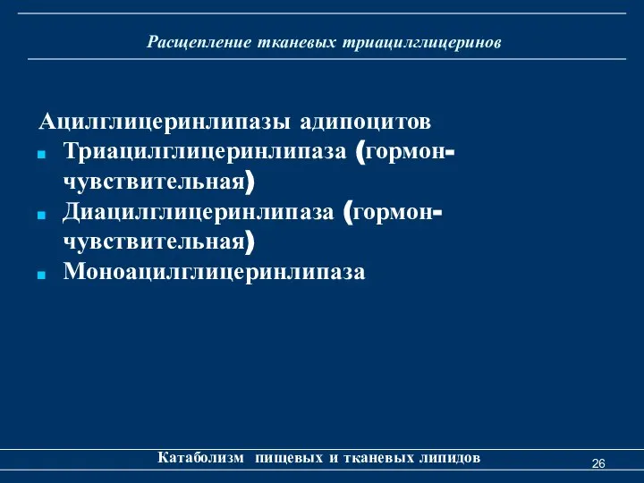 Расщепление тканевых триацилглицеринов Катаболизм пищевых и тканевых липидов Ацилглицеринлипазы адипоцитов Триацилглицеринлипаза (гормон-чувствительная) Диацилглицеринлипаза (гормон-чувствительная) Моноацилглицеринлипаза