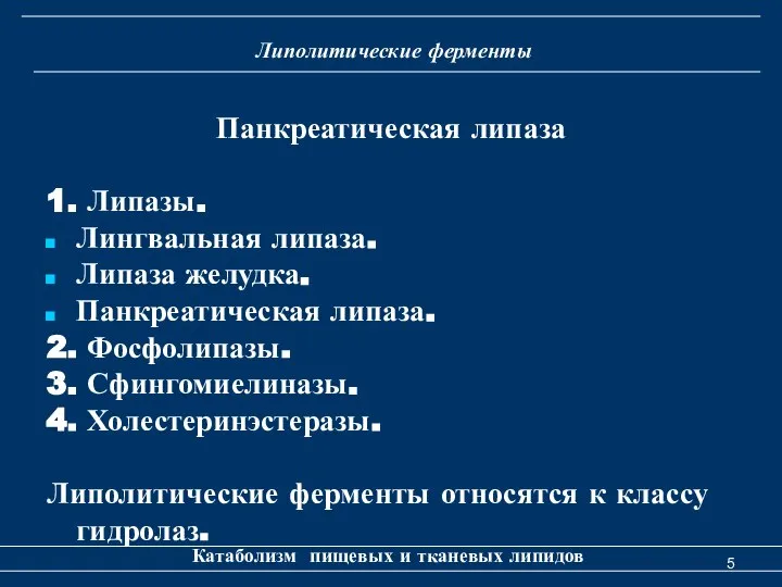 Липолитические ферменты Катаболизм пищевых и тканевых липидов Панкреатическая липаза 1. Липазы.