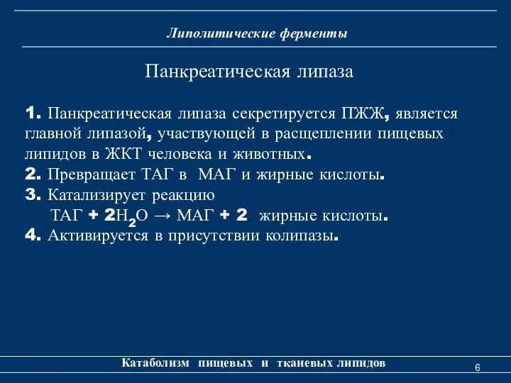 Липолитические ферменты Катаболизм пищевых и тканевых липидов 1. Панкреатическая липаза секретируется