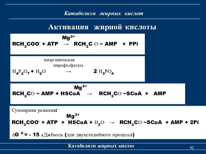 Катаболизм жирных кислот Катаболизм жирных кислот Mg2+ RCH2COO- + ATP →