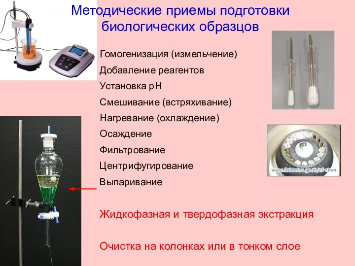 Методические приемы подготовки биологических образцов Гомогенизация (измельчение) Добавление реагентов Установка рН