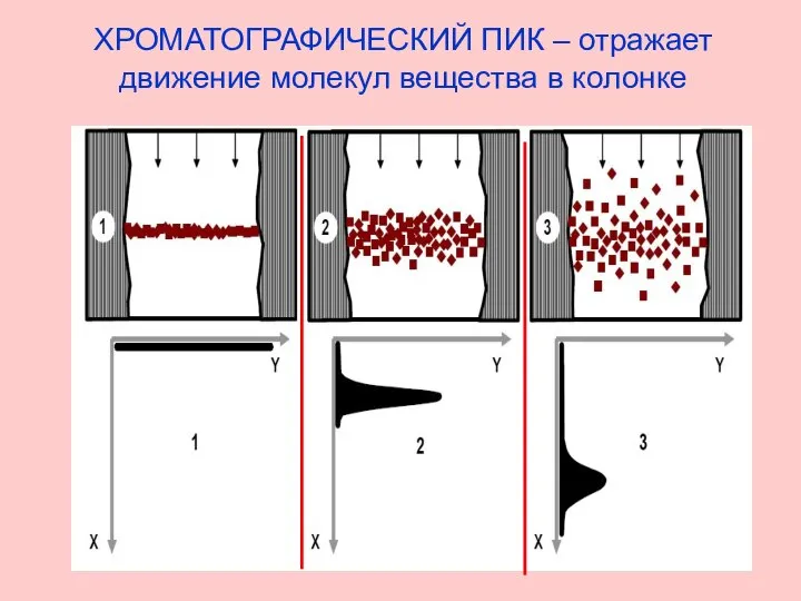 ХРОМАТОГРАФИЧЕСКИЙ ПИК – отражает движение молекул вещества в колонке