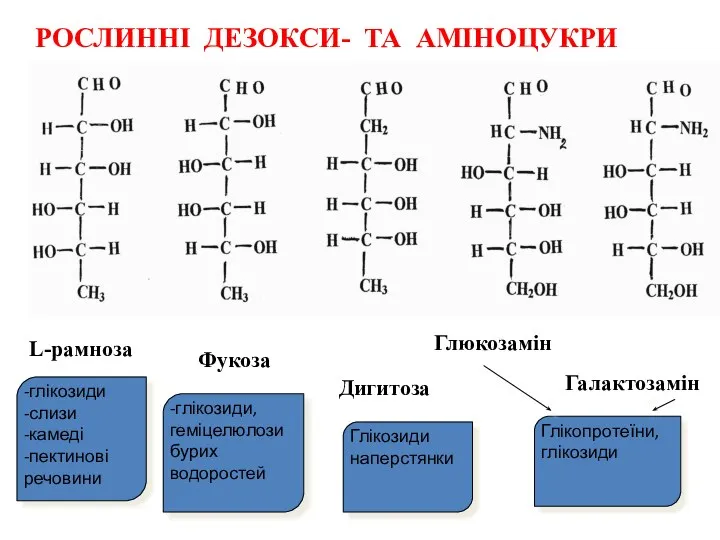 L-рамноза Фукоза Дигитоза Глюкозамін Галактозамін РОСЛИННІ ДЕЗОКСИ- ТА АМІНОЦУКРИ -глікозиди -слизи