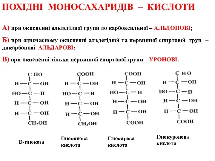 ПОХІДНІ МОНОСАХАРИДІВ – КИСЛОТИ А) при окисненні альдегідної групи до карбоксильної