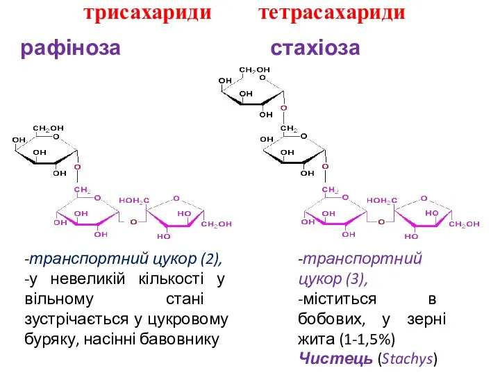 трисахариди тетрасахариди рафіноза стахіоза -транспортний цукор (2), -у невеликій кількості у