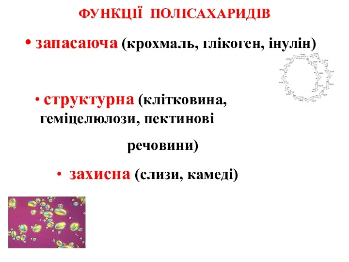 ФУНКЦІЇ ПОЛІСАХАРИДІВ запасаюча (крохмаль, глікоген, інулін) ∙ структурна (клітковина, геміцелюлози, пектинові речовини) ∙ захисна (слизи, камеді)