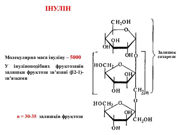 ІНУЛІН Залишок сахарози Молекулярна маса інуліну – 5000 У інуліноподібних фруктозанів