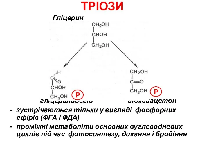 ТРІОЗИ Гліцерин гліцеральдегід діоксиацетон зустрічаються тільки у вигляді фосфорних ефірів (ФГА