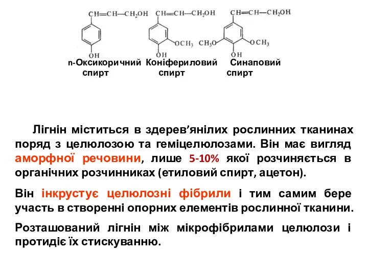 Лігнін міститься в здерев’янілих рослинних тканинах поряд з целюлозою та геміцелюлозами.