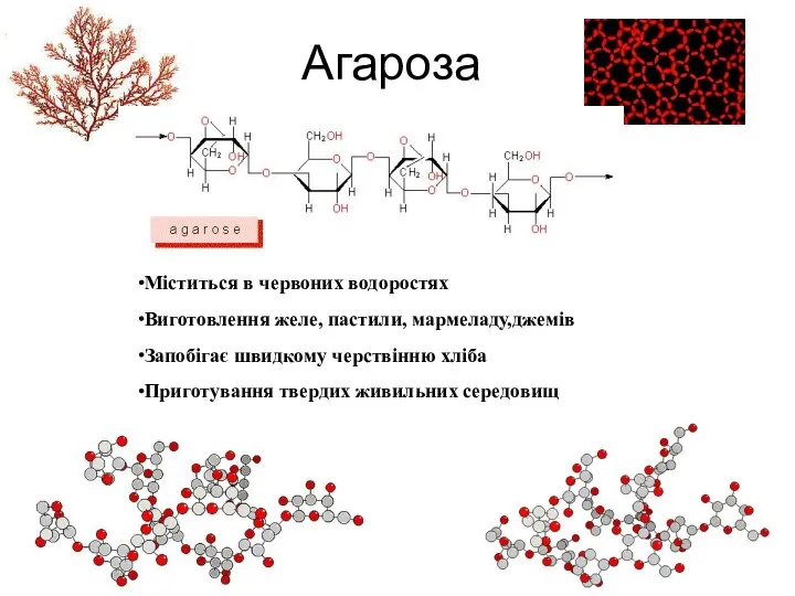 Агароза Міститься в червоних водоростях Виготовлення желе, пастили, мармеладу,джемів Запобігає швидкому