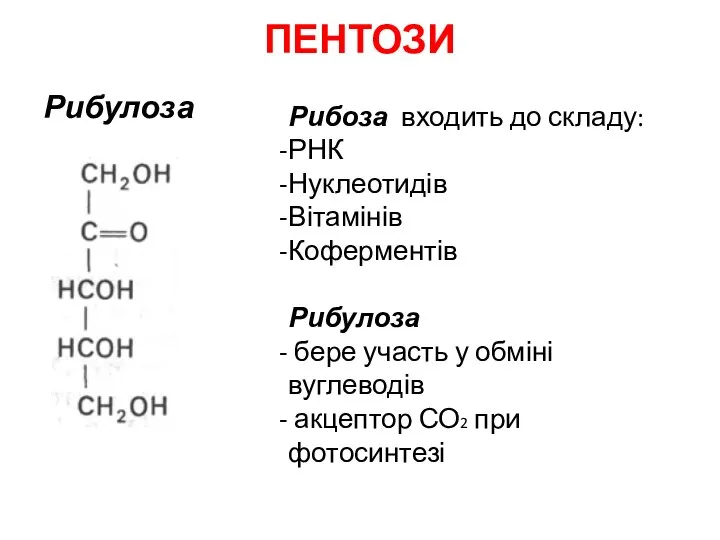 ПЕНТОЗИ Рибулоза Рибоза входить до складу: РНК Нуклеотидів Вітамінів Коферментів Рибулоза