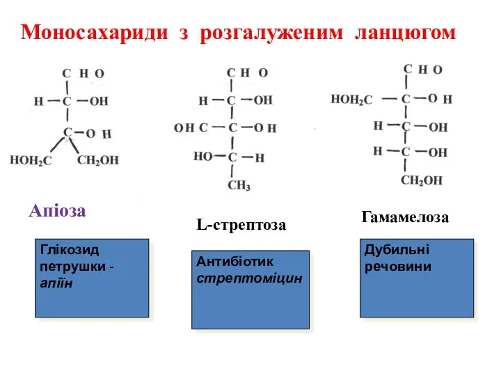 Апіоза L-стрептоза Гамамелоза Моносахариди з розгалуженим ланцюгом Глікозид петрушки - апіїн Антибіотик стрептоміцин Дубильні речовини