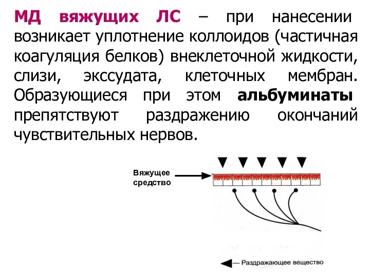 МД вяжущих ЛС – при нанесении возникает уплотнение коллоидов (частичная коагуляция