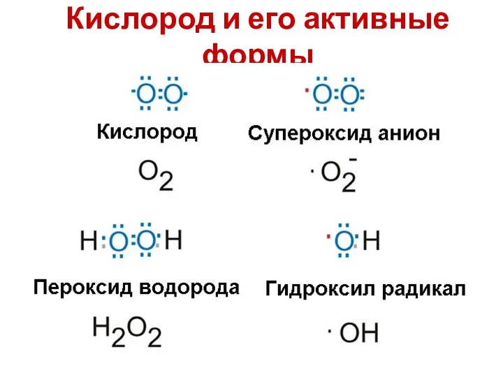 Кислород и его активные формы