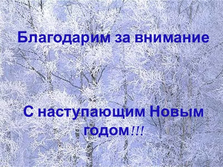 Благодарим за внимание С наступающим Новым годом!!!