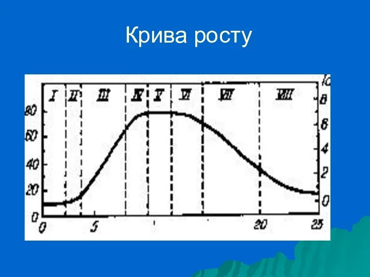 Крива росту