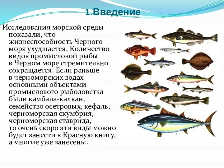 1.Введение Исследования морской среды показали, что жизнеспособность Черного моря ухудшается. Количество