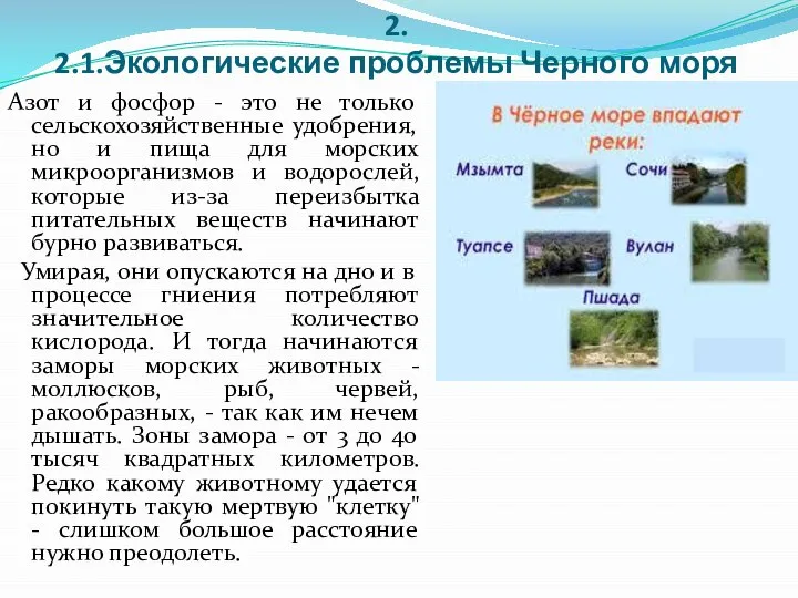 2. 2.1.Экологические проблемы Черного моря Азот и фосфор - это не